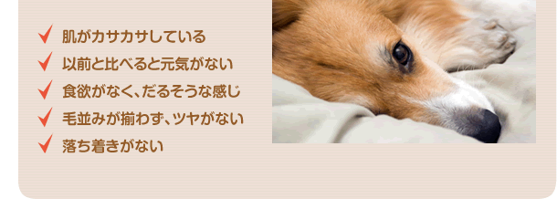 ȩʤĥ䤬ʤ夭ʤ