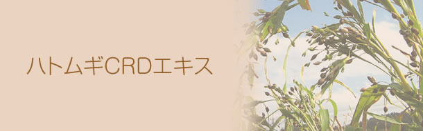 ϥȥ८CRD