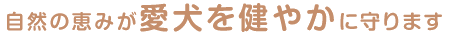 䤫˼ޤ