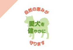ηäߤ䤫˼ޤ