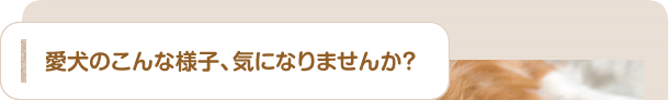Τͻҡˤʤޤ󤫡