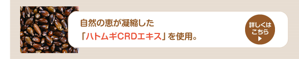 ϥȥ८CRD